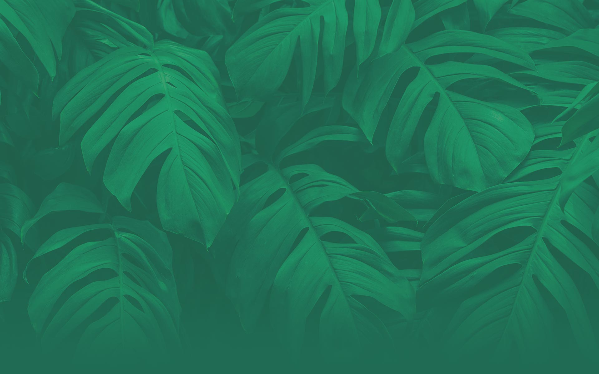 parallax background